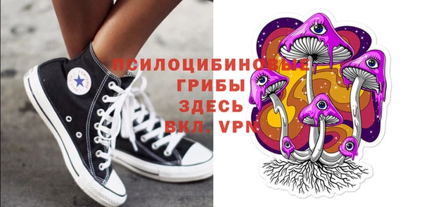 не бодяженный Осинники