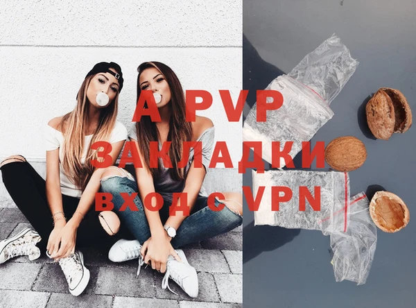 не бодяженный Осинники