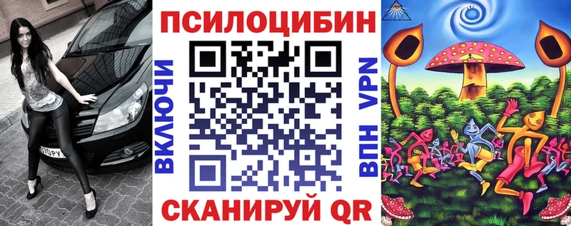 Купить где  Норильск  Галлюциногенные грибы Psilocybe 